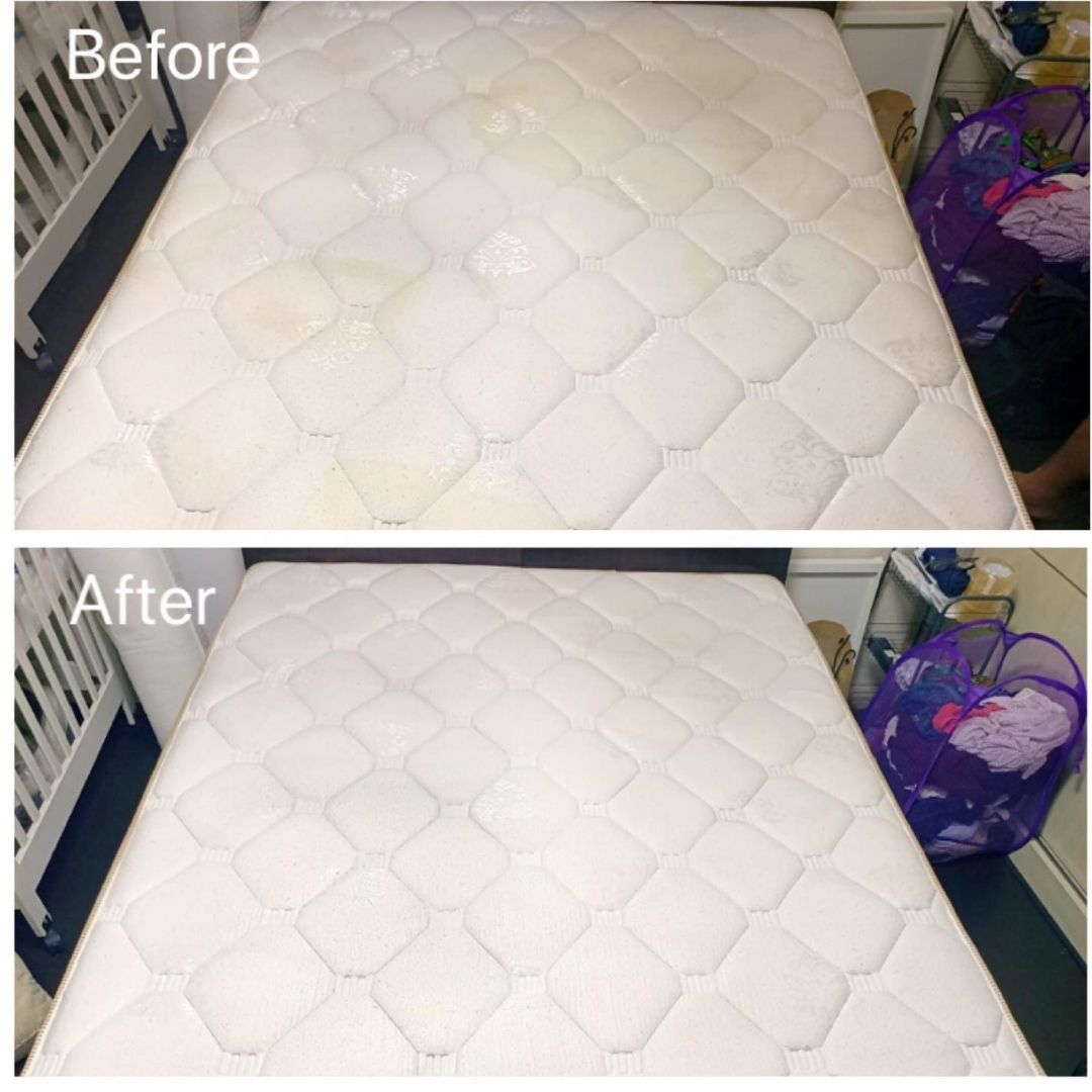 WhatsApp Image 2024-07-08 at 16.49.23_d668c333